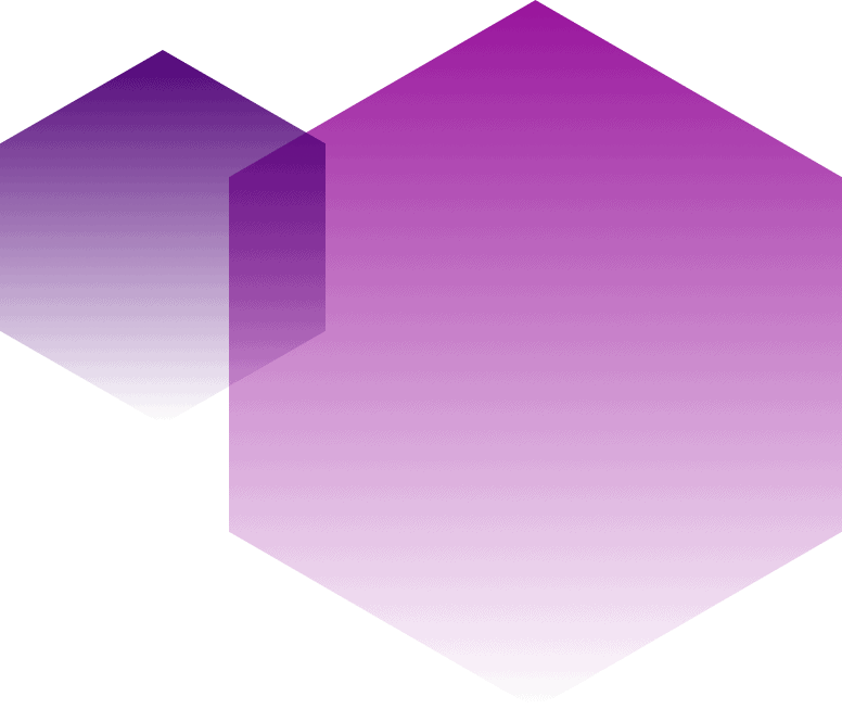 purple hexagons duo