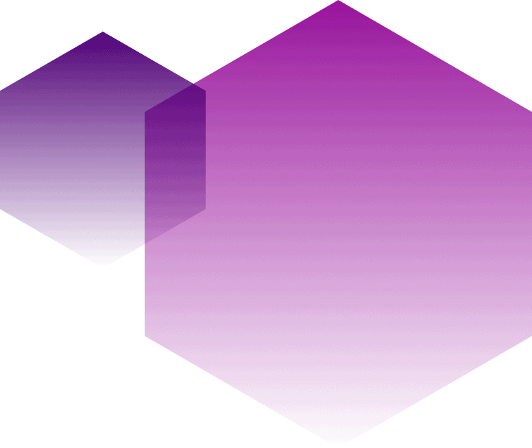 purple hexagons duo