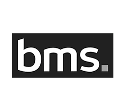 BMS_Logo_Rev_GREY-250x220