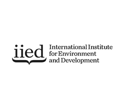 IIED_GREY-250x220