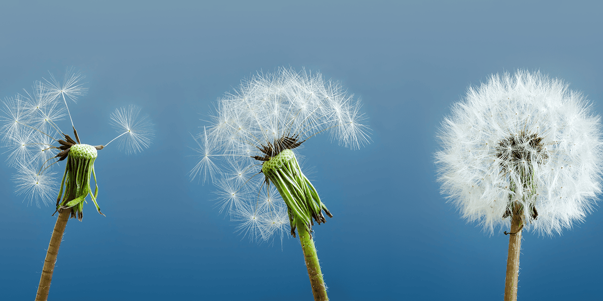 Advania SMB Blog Embracing Change